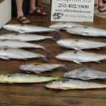 3/4 day and full day intermediate fishing charter amberjacks and mahi.