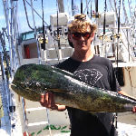 Mahi caught Offshore Trolling on The Outer Banks,NC.